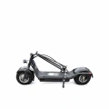 Hulajnoga elektryczna CityRoad GT - czarna