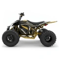 Duży quad Elektryczny Monster Sport 5000W - 95km/h - złoty