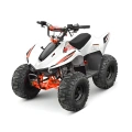 Kayo AY70 - Mini quad spalinowy dla dzieci - 70cc