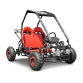 Dwuosobowe mini buggy spalinowe dla dzieci BS 125 - 110cc