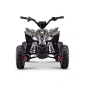 Mini quad elektryczny T-REX 1300W - zielony