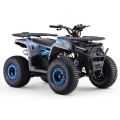 Quad spalinowy Beneo Warrior 125cc - niebieski