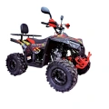 Quad spalinowy Berreta Bulldog 125cc - model 2026 - czerwony