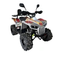 Quad spalinowy Berreta Bulldog 125cc - model 2026 - szary