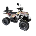 Quad spalinowy Berreta Bulldog 125cc - model 2026 - szary