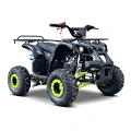 Quad spalinowy dla dzieci 7 lat+ Wildpeak 110cc - zielony