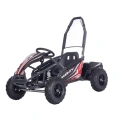 Maighty 1000W - Gokart Elektryczny Off-Road Dla dzieci 5+ lat - czarny