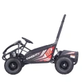 Maighty 1000W - Gokart Elektryczny Off-Road Dla dzieci 5+ lat - czarny