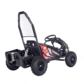 Maighty 1000W - Gokart Elektryczny Off-Road Dla dzieci 5+ lat - czarny