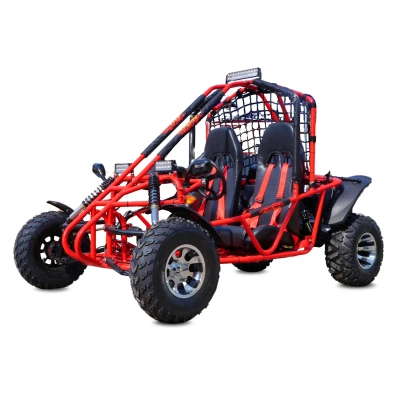 Dwuosobowe Buggy Spalinowe dla nastolatków i dorosłych BS 250 Lift - 250cc
