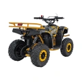 Mini Quad Spalinowy Sirius 49cc - pomarańczowy