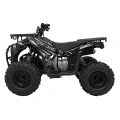 Quad Spalinowy Discoverer 125cc - czarny