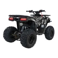 Quad Spalinowy Discoverer 125cc - czarny