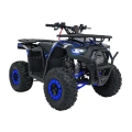 Quad Spalinowy Discoverer 125cc - niebieski