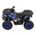 Quad Spalinowy Discoverer 125cc - niebieski