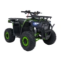 Quad Spalinowy Discoverer 125cc - zielony