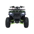 Quad Spalinowy Discoverer 125cc - zielony