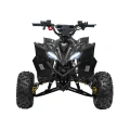 Desert Storm Lift 48V 800W - Quad Elektryczny - zielony